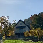Somloi Provence *