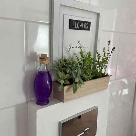 Somloi Provence Doba