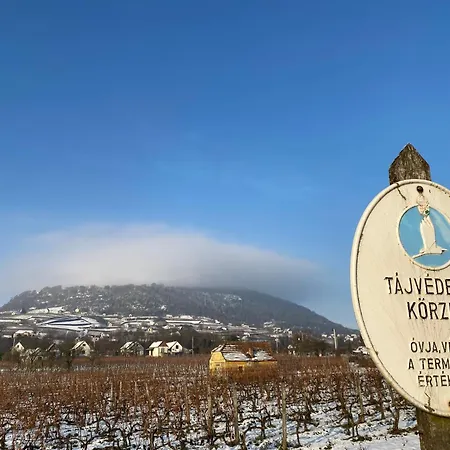 Сasa de vacaciones Somlói Provence