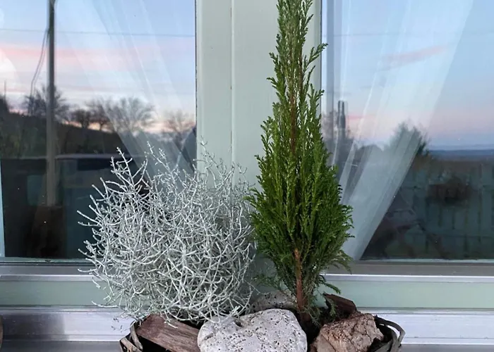 Somloi Provence بيت للعطل *